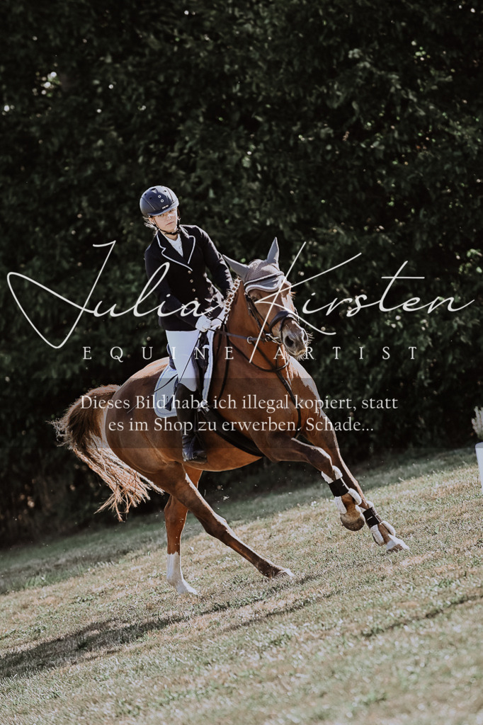 DSC_9532 | Pferde- und Turnierfotografie in Westsachsen. Pferdeportraits, Auftragszeichnungen und intuitive Kunst.