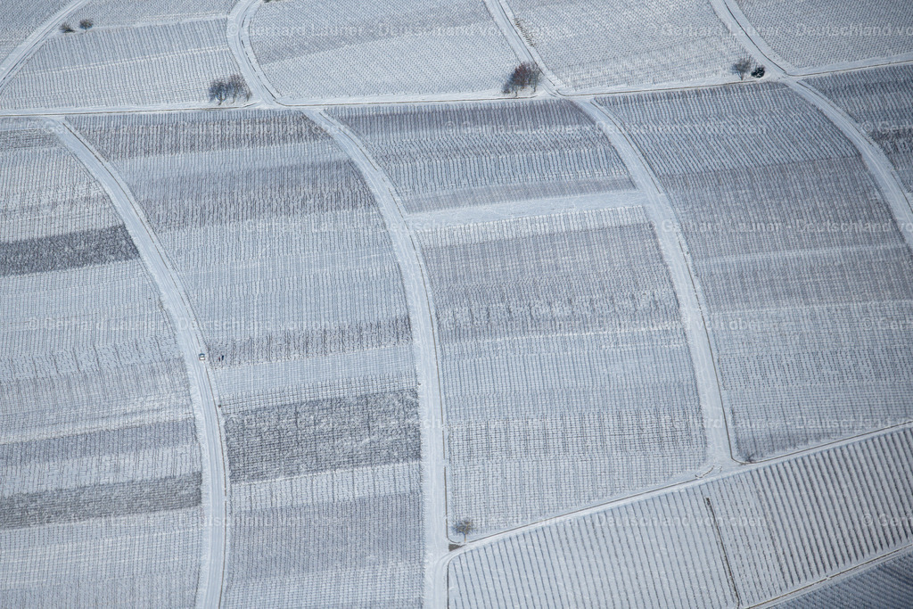 4043313 | winterliche Weinbergstrukturen auf der Weininsel zw. Schwarzach und Nordheim, Weinlage Katzenkopf