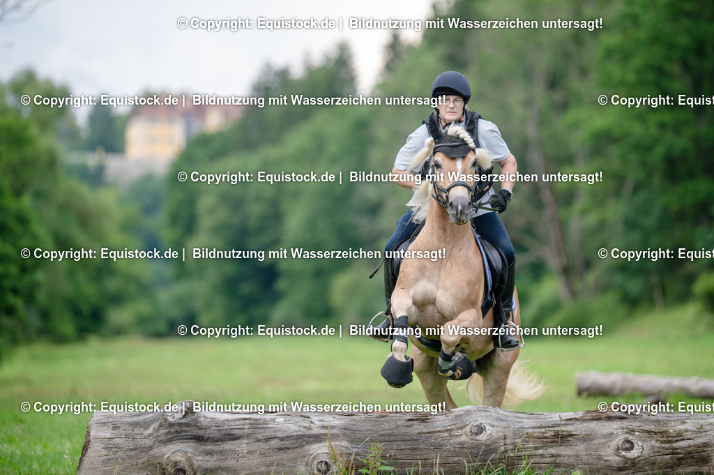 20250725_Vielseitigkeitslehrgang-Marbach_0568 | Foto: Thomas Hartig