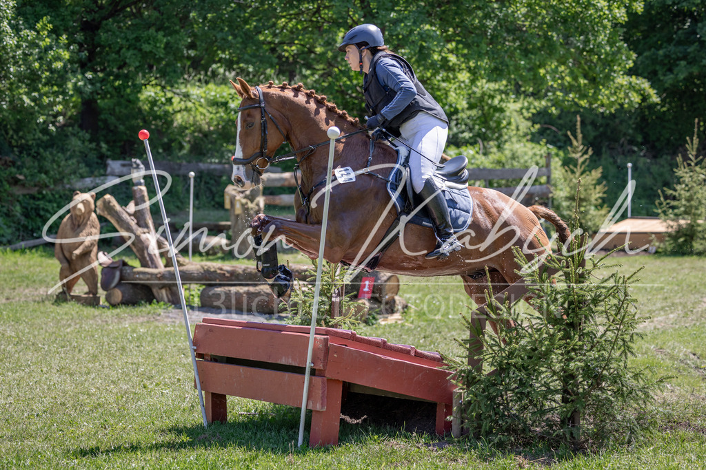 20260523-_3LI8344 | Tierfotografie Pferde, Hunde, Katzen, Haustiere.
Turnierfotografie Reitturniere, Reiten, Springreiten, Dressur in Hanau, dem Main-Kinzig-Kreis und dem Rhein-Main- Gebiet um Frankfurt