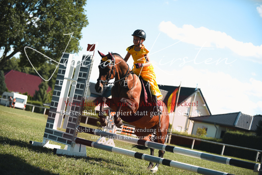 DSC_7514 | Pferde- und Turnierfotografie in Westsachsen. Pferdeportraits, Auftragszeichnungen und intuitive Kunst.