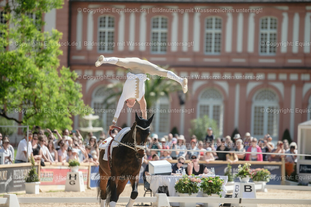 20230528_Voltigieren_NASPA_0190 | equistock
