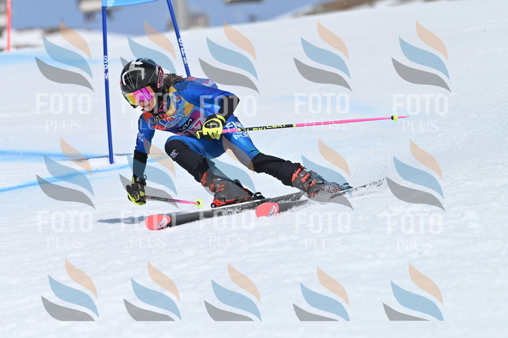 BGV_0187 | holidayphoto