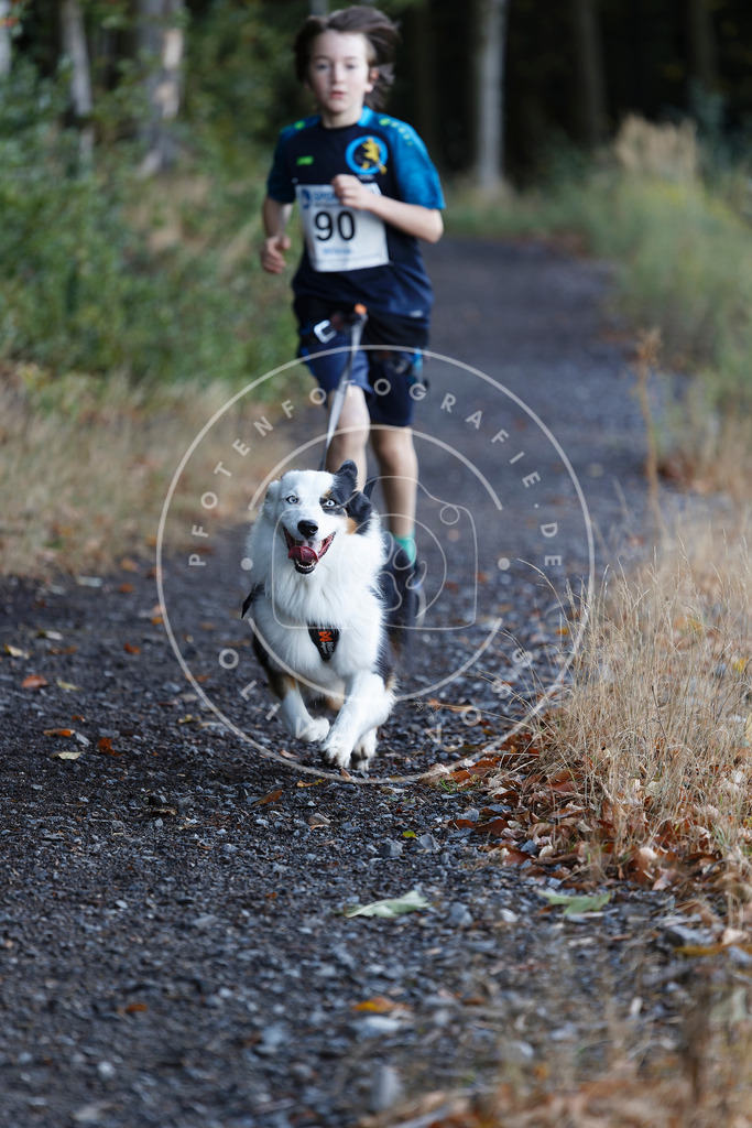 0L8A2163 | Hundefotografie, Tierfotograf, Pfotenfotografie, Fotoshooting Hund, Hunde Portrait, Hundesport, Hundeportraits, Heideshooting, Hunde, Sportfotograf, Hundefotograf, Turnierhundsport, THS,  - Realisiert mit Pictrs.com