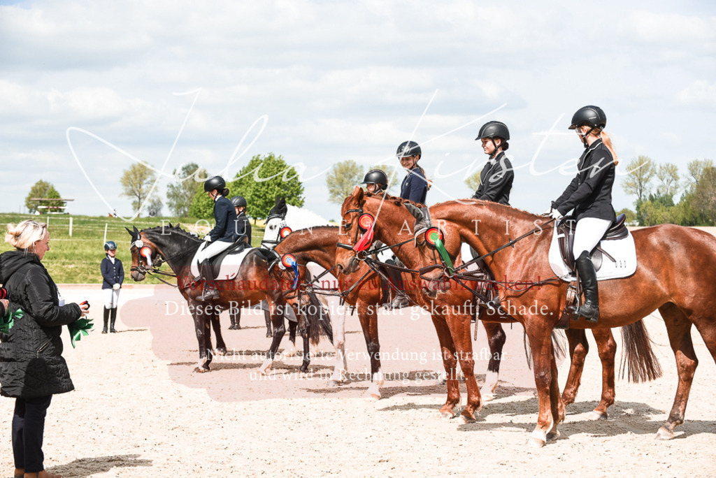 20230518_JK-Röhrsdorf-11-1017 | Pferde- und Turnierfotografie in Westsachsen. Pferdeportraits, Auftragszeichnungen und intuitive Kunst.