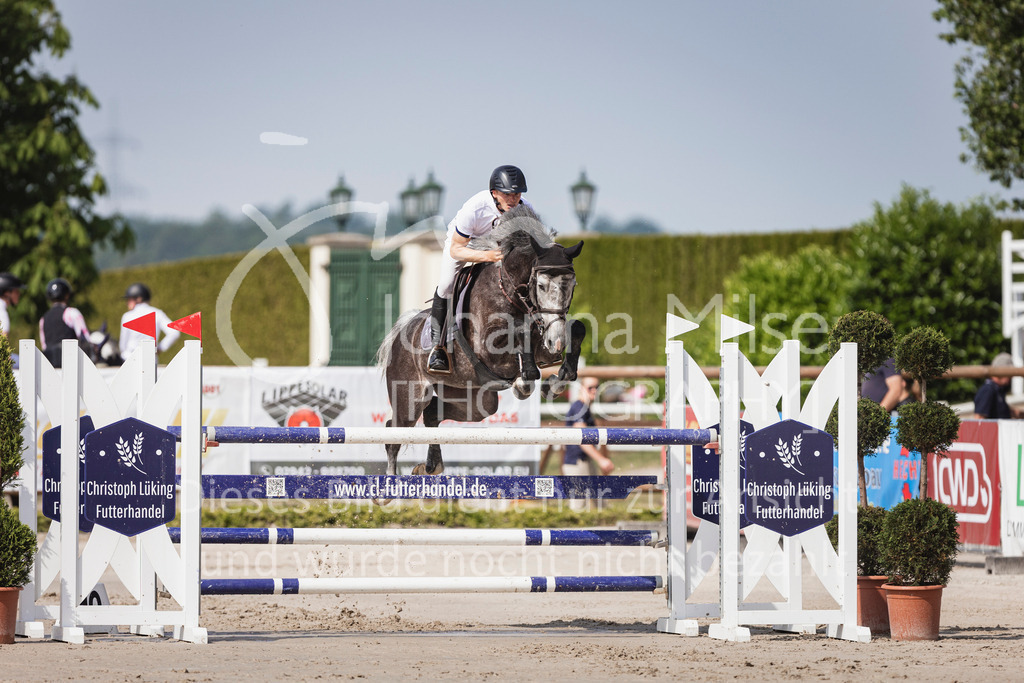 250531_MayDays_M2-Springen-514 | Deine schönsten Turniermomente als professionelle Fotos! Entdecke hochwertige Pferdesport-Fotografie im Online-Shop. Jetzt Fotos finden & bestellen!