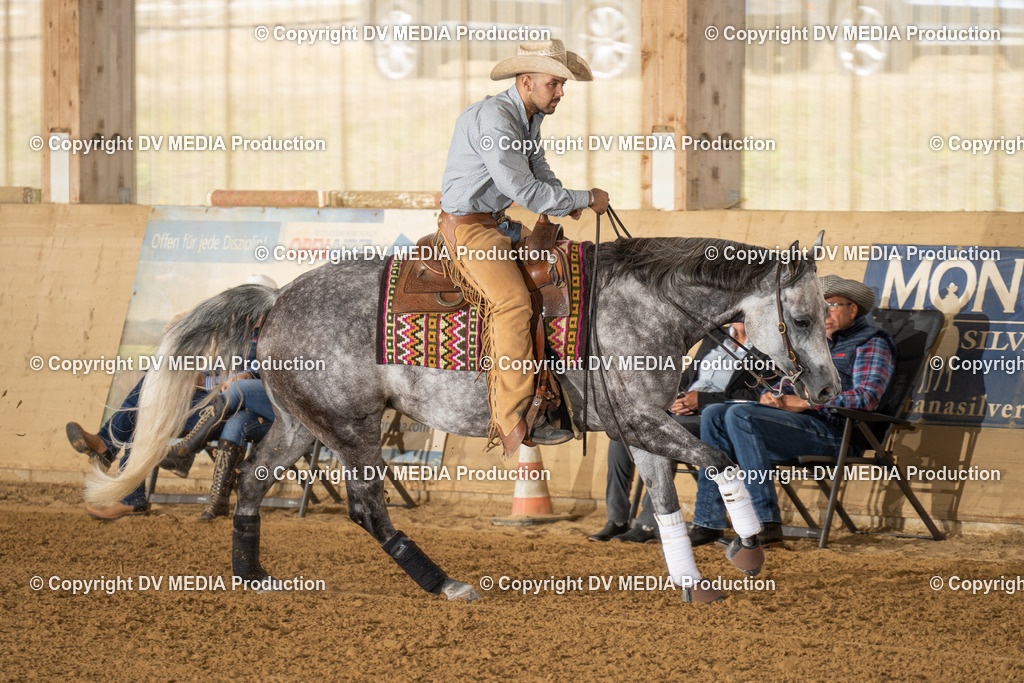 LAU01578 | dv-media-shop - Realisiert mit Pictrs.com