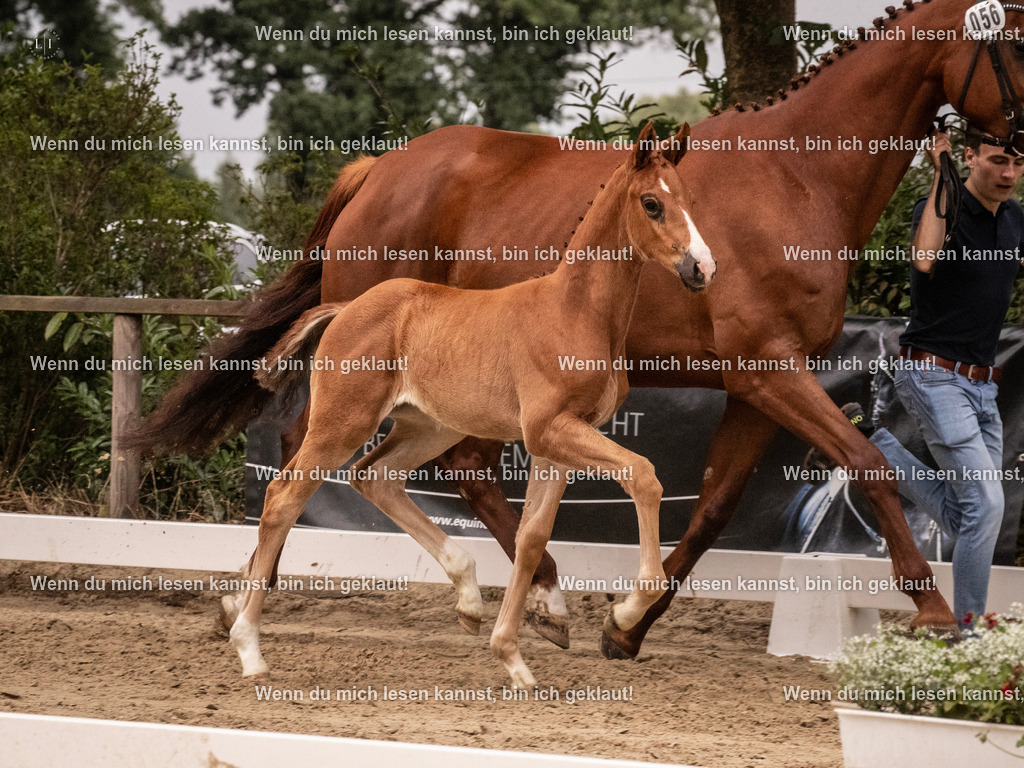 A10I5714 | photographylinaismer - Realisiert mit Pictrs.com