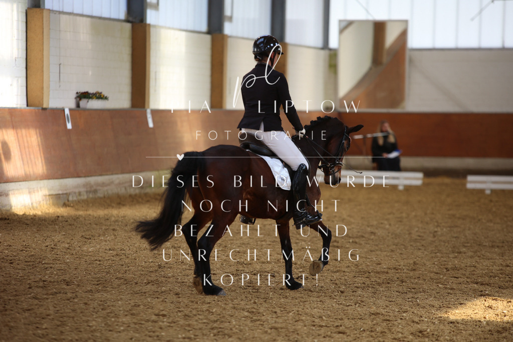 IMGT5252 | pl-fotografie