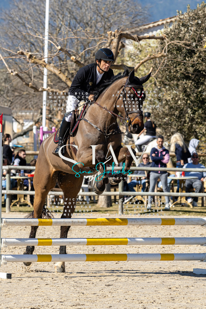 IMG_8913 | s-jay-photography - Realisiert mit Pictrs.com