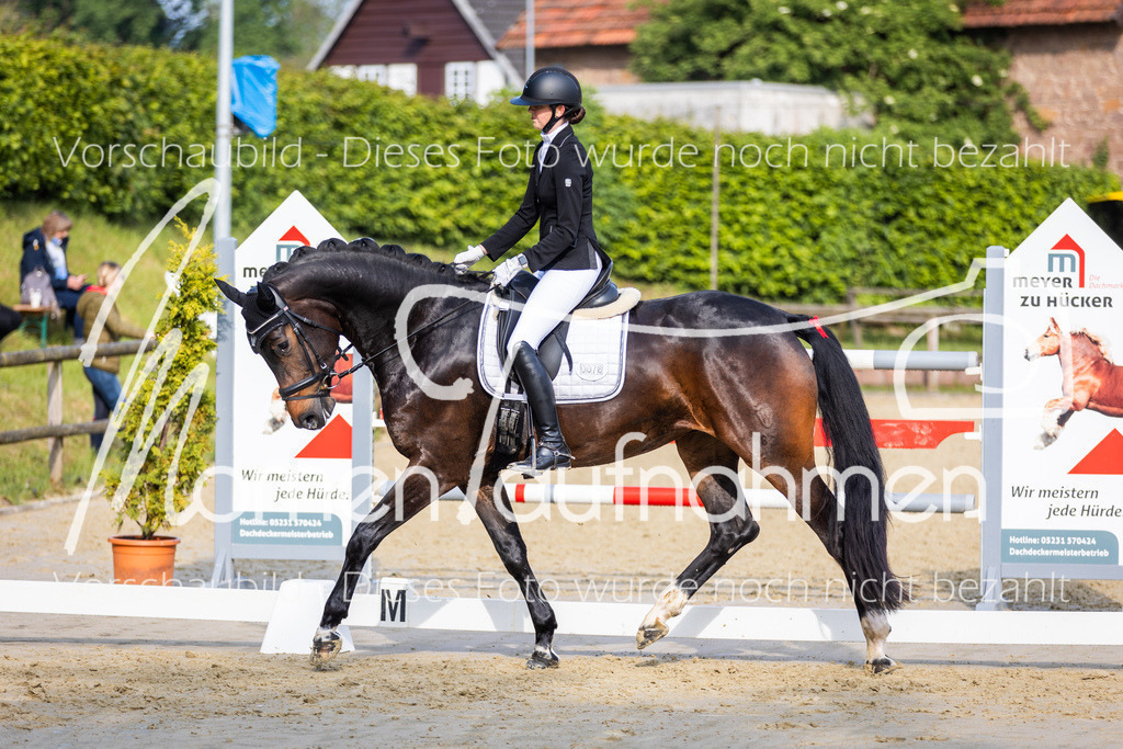 Donop24-A-Dre-058 | MomenTaufnahmen Pferdesportfotos