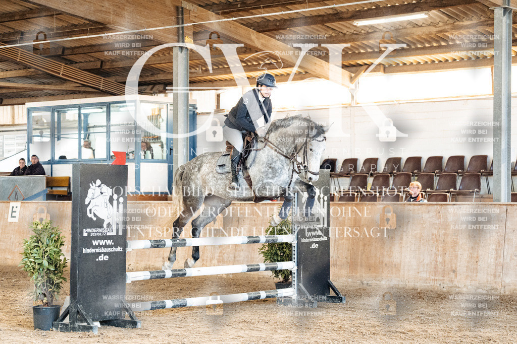 CK904879 | Turnierfotografie Pferdefotografie Trier Rheinland-Pfalz Pferdesport Reitsport Tierfotografie Sportfotografie Pferdevideo Pferdevideografie Equestrianvideography equestrianphotography  - Realisiert mit Pictrs.com