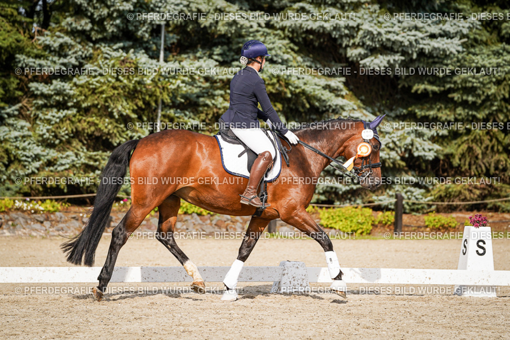 DSC07695 | Pferdegrafie