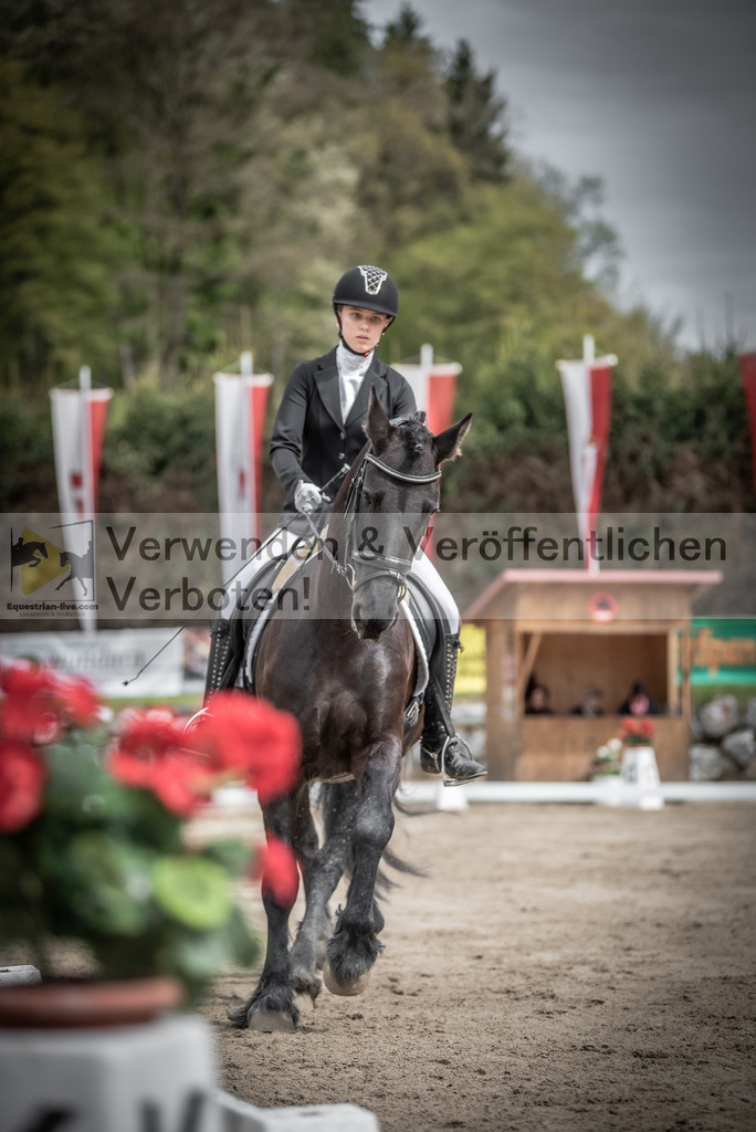 DSC_9206 | equestrian-live-com