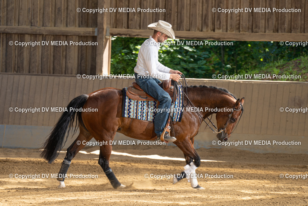 DSC00294 | dv-media-shop - Realisiert mit Pictrs.com