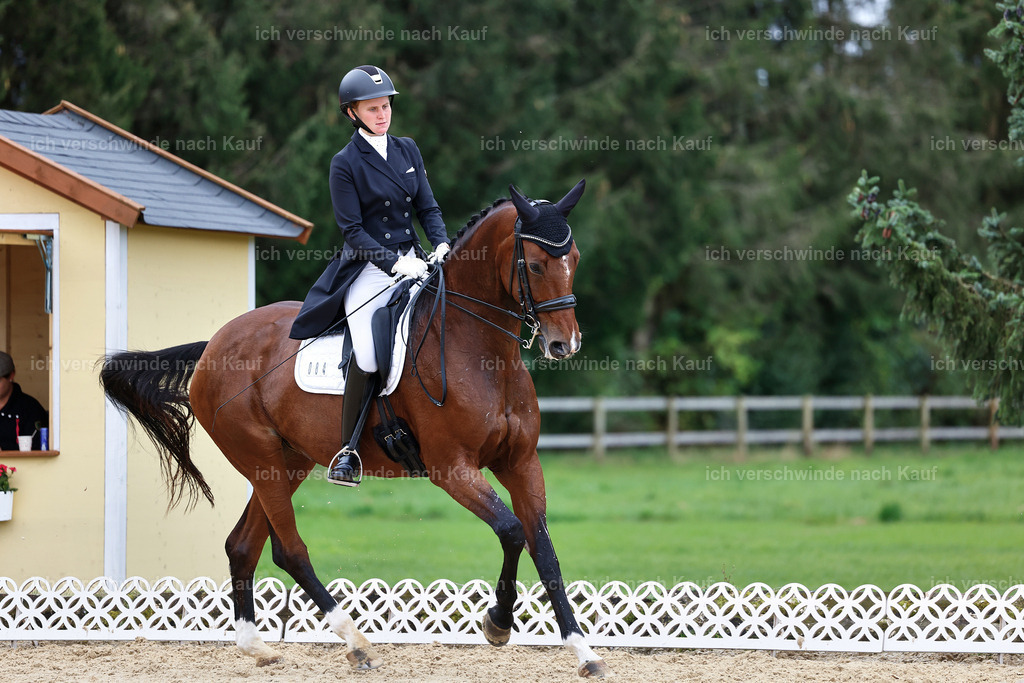 6-084-AMATUER-DRESSUR S_  -StoibPH-3573 | working equitationturnier fotograf videograf stoibphotography marixx film working equitation deutschland reitsport turnierfotografie eventfotografie equestrian events