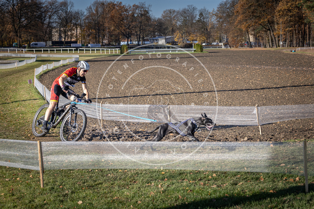 CaniXpix_DV3A3640 | Hundefotografie, Tierfotograf, Pfotenfotografie, Fotoshooting Hund, Hunde Portrait, Hundesport, Hundeportraits, Heideshooting, Hunde, Sportfotograf, Hundefotograf, Turnierhundsport, THS,  - Realisiert mit Pictrs.com