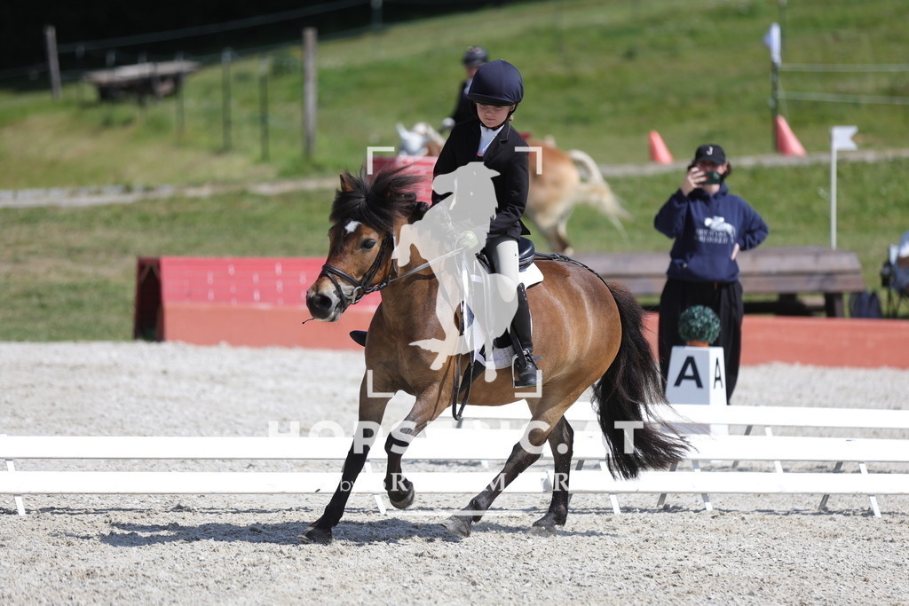 0P6A0218 | Willkommen bei Brunnmayr - Design & Fotografie – Ihrem Spezialisten für Reitturniere und Pferdeveranstaltungen in Oberösterreich, Salzburg und Bayern! Seit über 17 Jahren sind wir leidenschaftlich dabei.