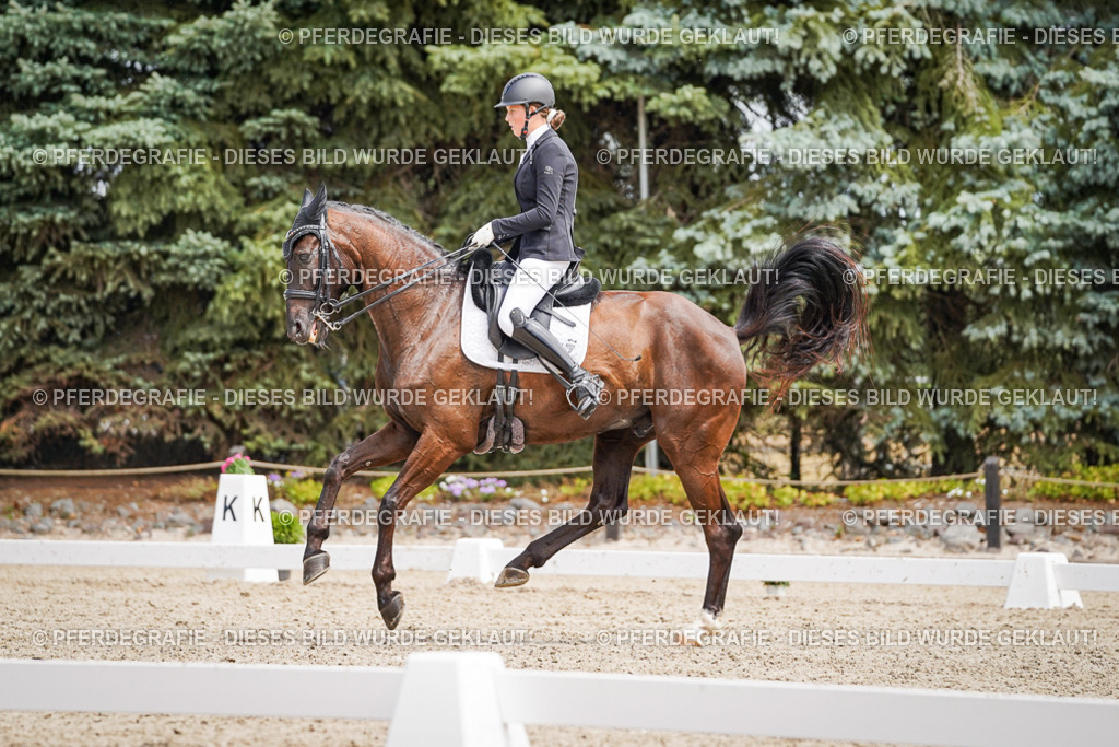 DSC03499 | Pferdegrafie