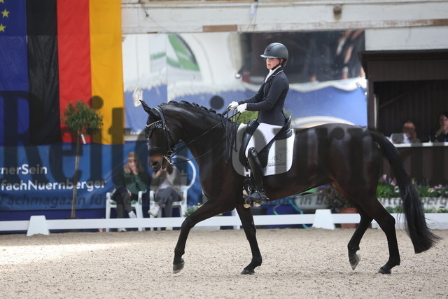 Pforzheim_2024_Prfg.Nr.12_Dressurreiterprfg.Kl.M_Nürnberger-Burgpokal_Leonie Röhrle_Firemark JS (1) | Alle Fotos der Reiterjournal Fotografin Doris Matthaes im Reiterjournal Online-Fotoshop. - Realisiert mit Pictrs.com