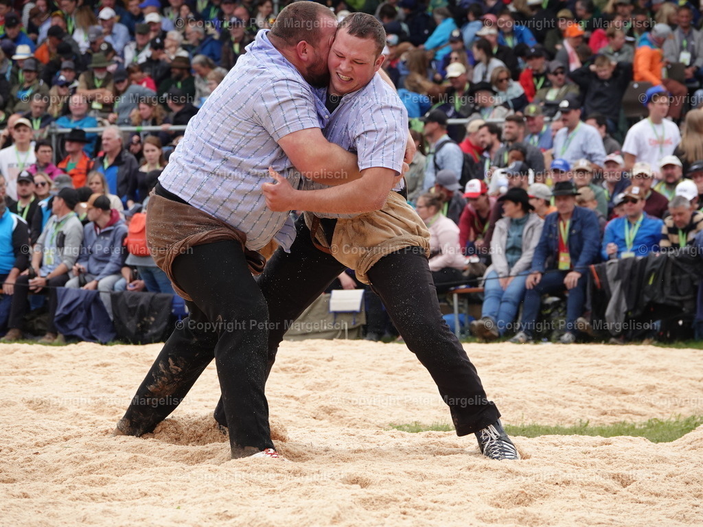 DSC08113 | Schwingen - Realisiert mit Pictrs.com