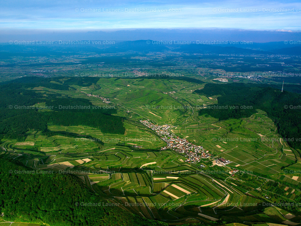 2597017 | Blick über den Kaiserstuhl bei Oberbergen in Richtung Schwarzwald