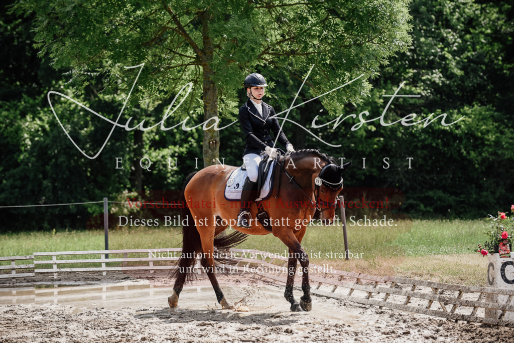 DSC_0913 | Pferde- und Turnierfotografie in Westsachsen. Pferdeportraits, Auftragszeichnungen und intuitive Kunst.