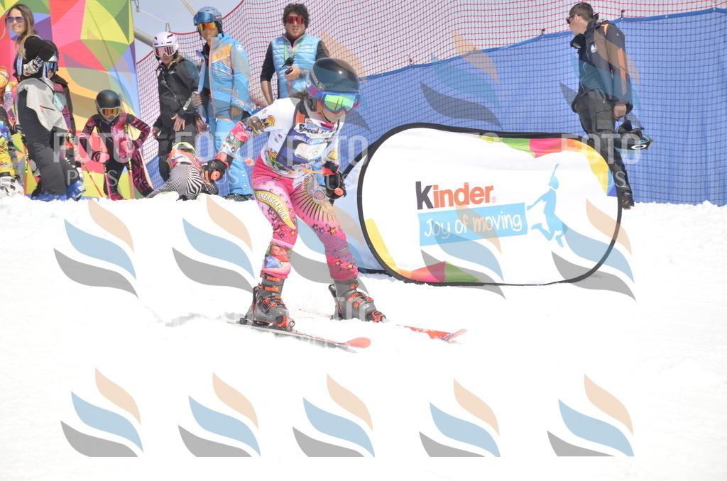 _ELE8864 | holidayphoto