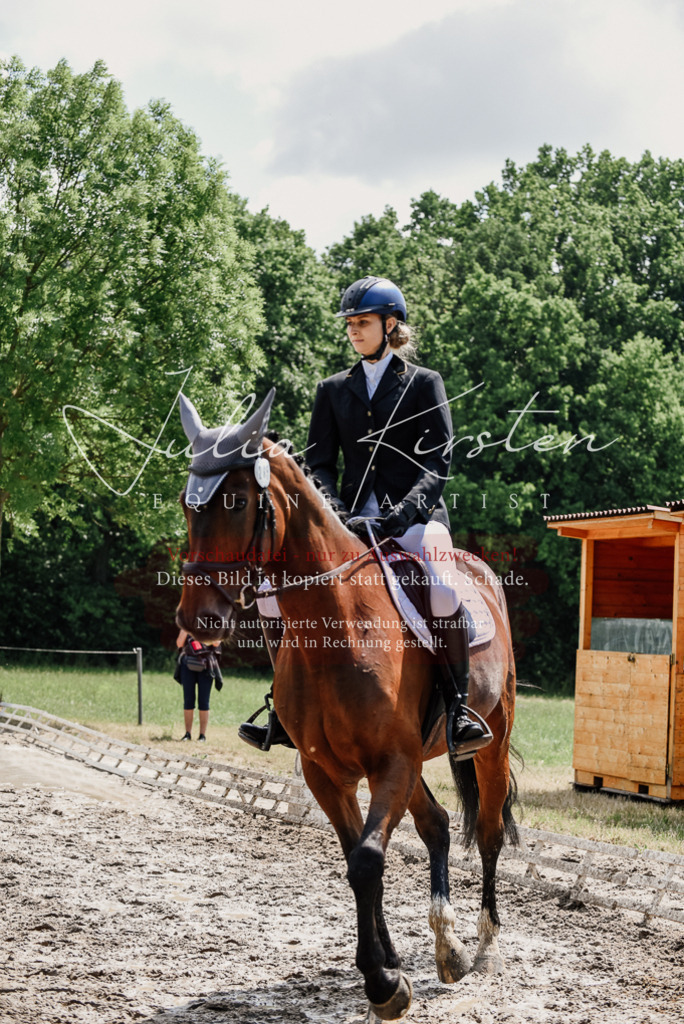 DSC_1119 | Pferde- und Turnierfotografie in Westsachsen. Pferdeportraits, Auftragszeichnungen und intuitive Kunst.