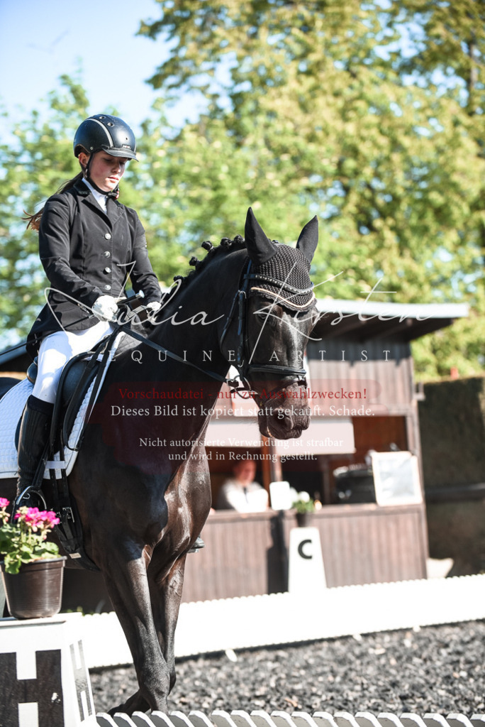 DSC_8320 | Pferde- und Turnierfotografie in Westsachsen. Pferdeportraits, Auftragszeichnungen und intuitive Kunst.