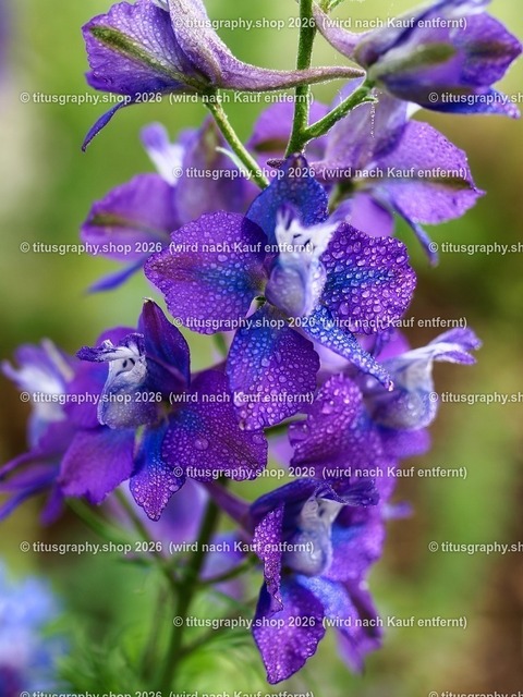 titusgraphy_P6160692-vz-ln_pe | OLYMPUS DIGITAL CAMERA - Realisiert mit Pictrs.com