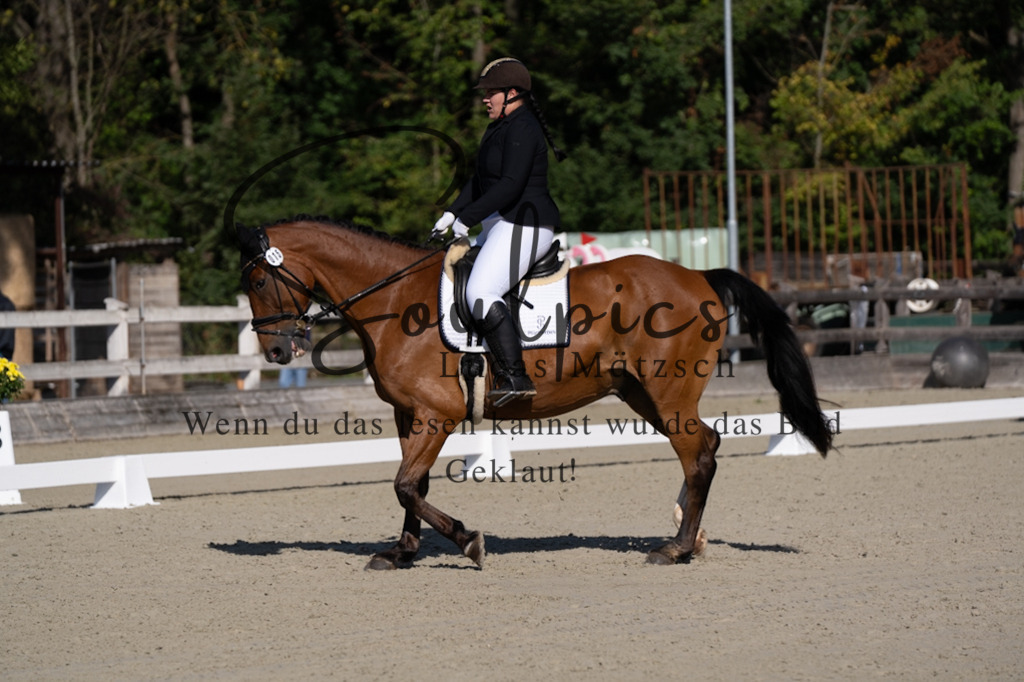 A7V06910 | Turnier/Reitfotograf