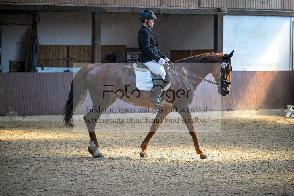 Reitturnier Voxtrup | Entdecke hochwertige Reitturnierfotos von Foto Oger. Professionell, emotional und authentisch – jetzt Lieblingsmomente im Shop bestellen.Deutschlandweite Turnierfotografie. - Realisiert mit Pictrs.com