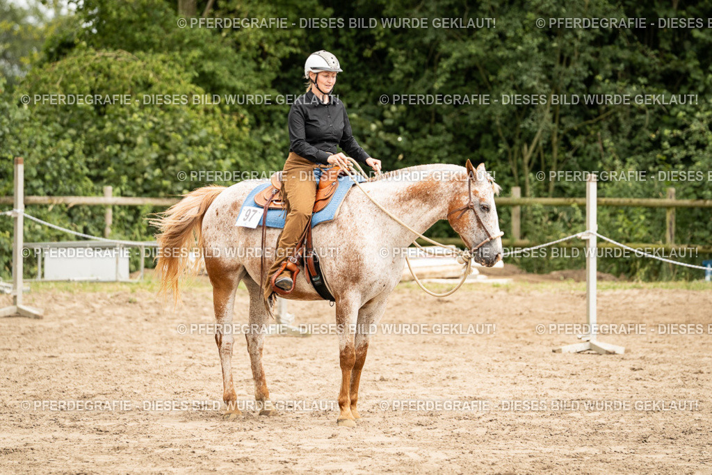 DSC01053 | Pferdegrafie