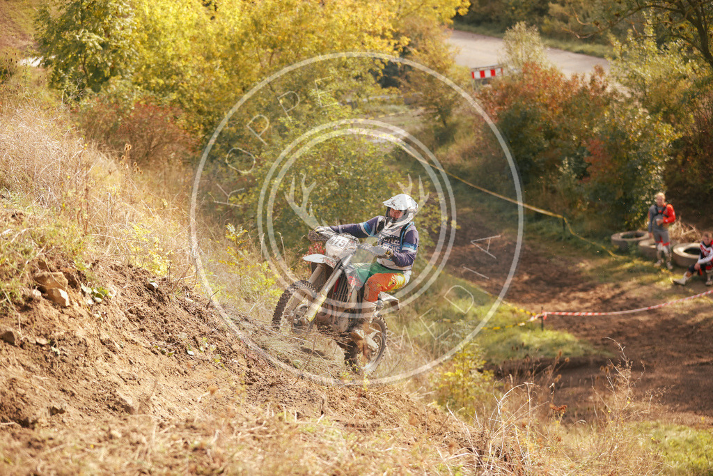 IgeLauf4-868 | koppe-media