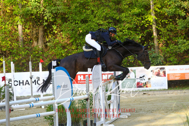 DKP42621 | Turniersportfotografie; Pferdefotografie; Dressurfotografie