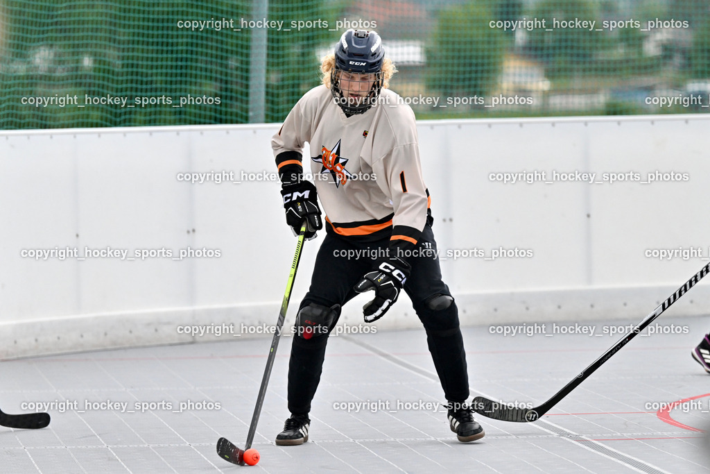 Carinthian Team Zehenthof vs. Ultras Spittal | #1 Gradnitzer Gert Spittal Ultras, Carinthian Team Zehenthof vs. Ultras Spittal, Carinthian Team Zehenthof vs. Ultras Spittal am 10.05.2026 in Villach (Alpen Arena ), Austria, (Photo by Bernd Stefan)
