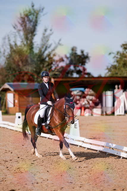 2026_10_03_Siefer-Hof_115752_Z81_99312073 | Professionelle Reitsport-, Turnier- und Eventfotografie von Robert Broda. Galerien mit ausgewählten und bearbeiteten Bildern direkt online ansehen und bestellen.