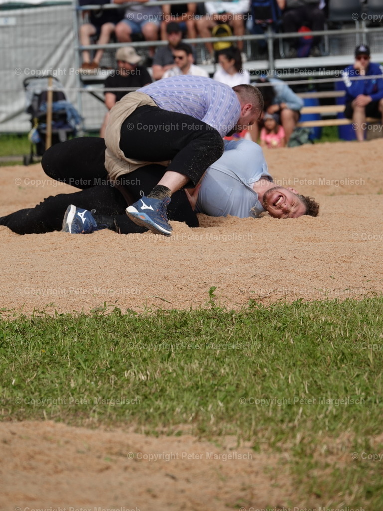 DSC06694 | Schwingen - Realisiert mit Pictrs.com