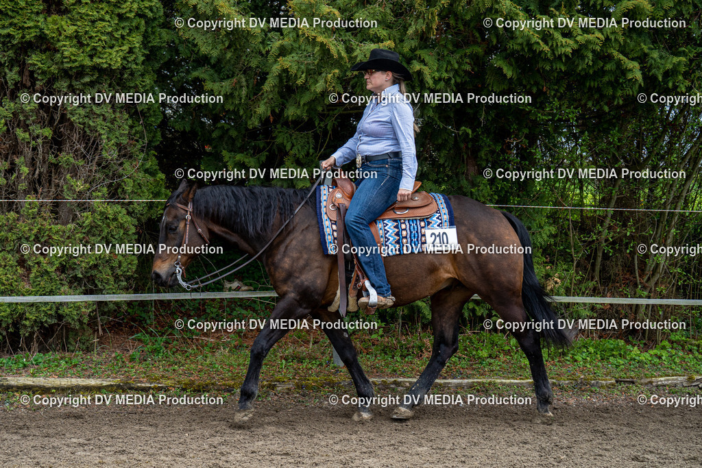 BAL00699 | dv-media-shop - Realisiert mit Pictrs.com