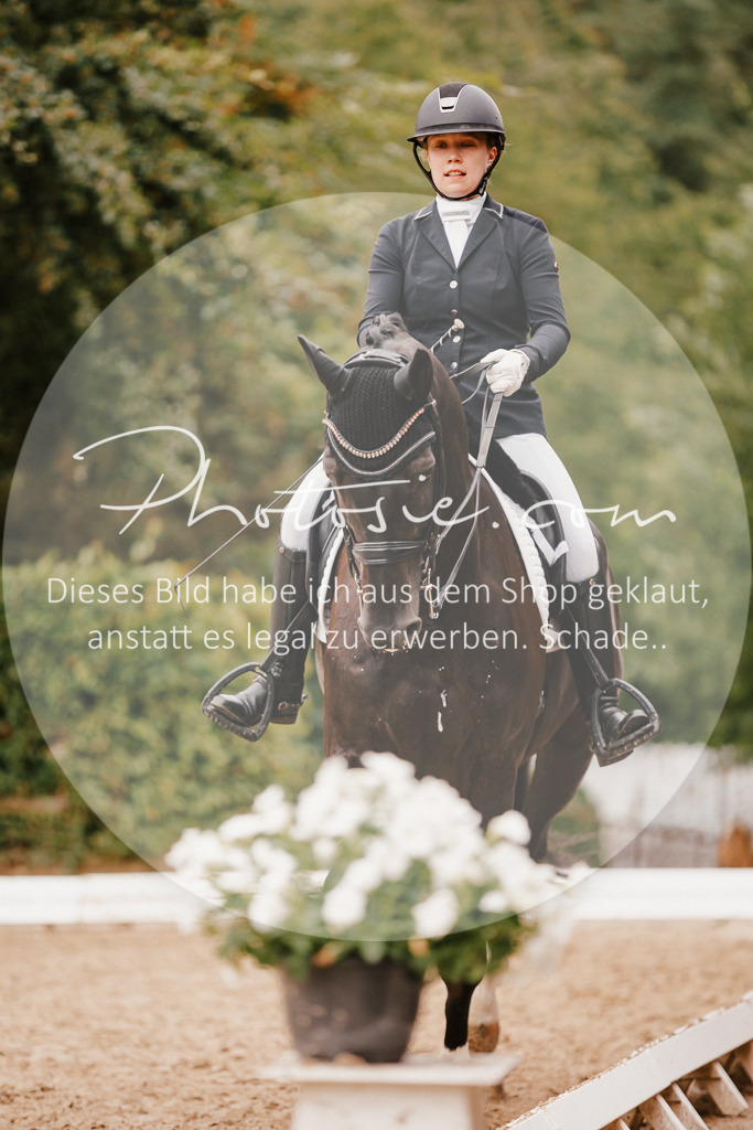 3I6A7683 | Stimmungsvolle Portraits und Reitsportfotografie im Ruhrgebiet und im Münsterland.

Pferdefotografie, Hundefotografie, Tierfotografie, Reportagen, Portraits von Tier und Mensch, Turnierfotografie in Bochum, Recklinghausen, Marl, Haltern am See, Dülmen.. - Realisiert mit Pictrs.com