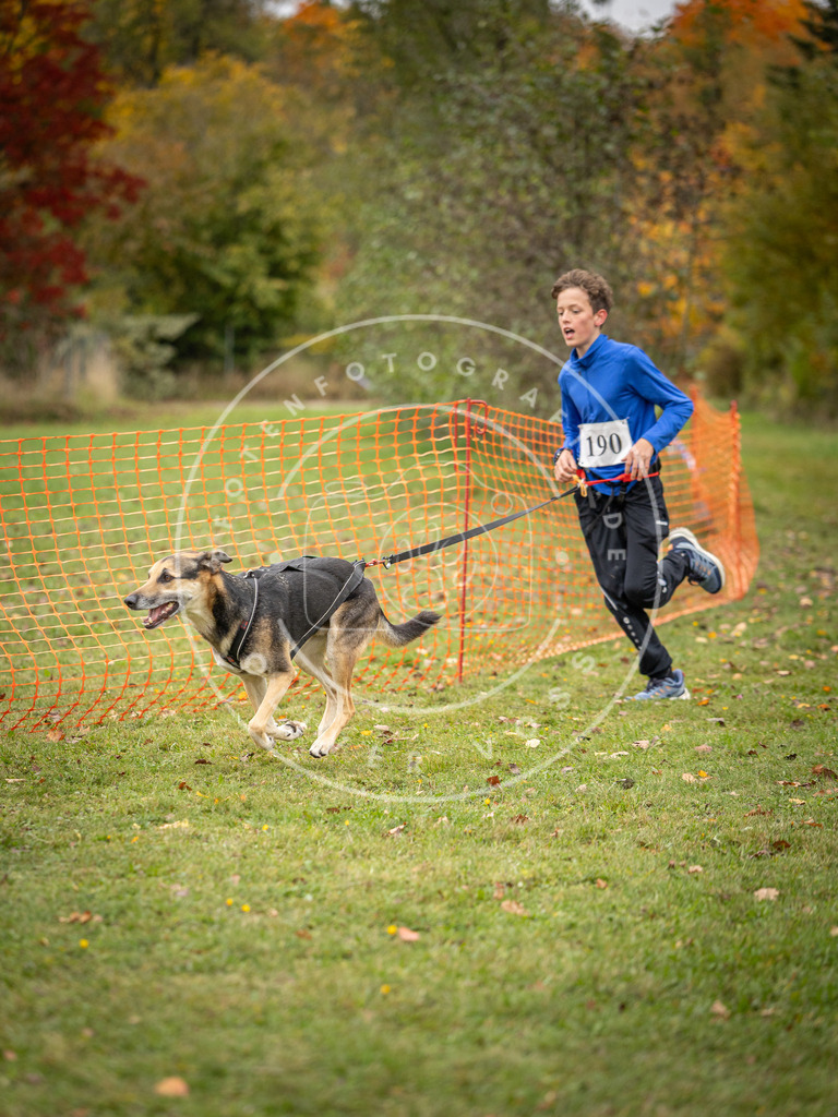 Pfotenfotografie_DV3A3593 | Hundefotografie, Tierfotograf, Pfotenfotografie, Fotoshooting Hund, Hunde Portrait, Hundesport, Hundeportraits, Heideshooting, Hunde, Sportfotograf, Hundefotograf, Turnierhundsport, THS,  - Realisiert mit Pictrs.com