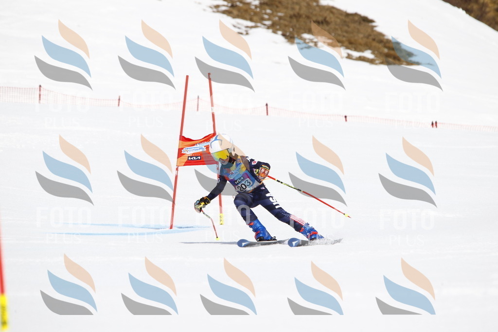 _U3G5266 | holidayphoto