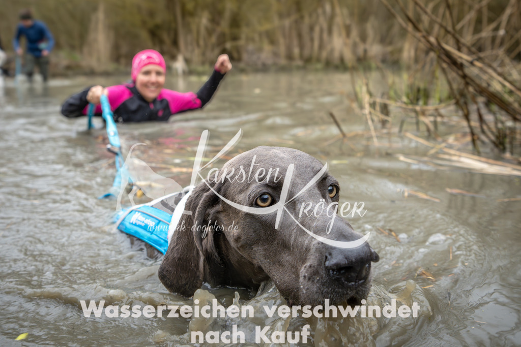 1353_ZZ93911 | kk-dogfotos