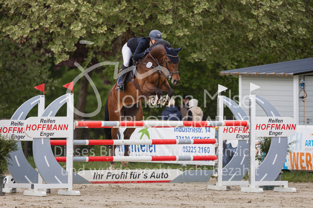 250504_SpengeW_M2-Spr-415 | Deine schönsten Turniermomente als professionelle Fotos! Entdecke hochwertige Pferdesport-Fotografie im Online-Shop. Jetzt Fotos finden & bestellen!