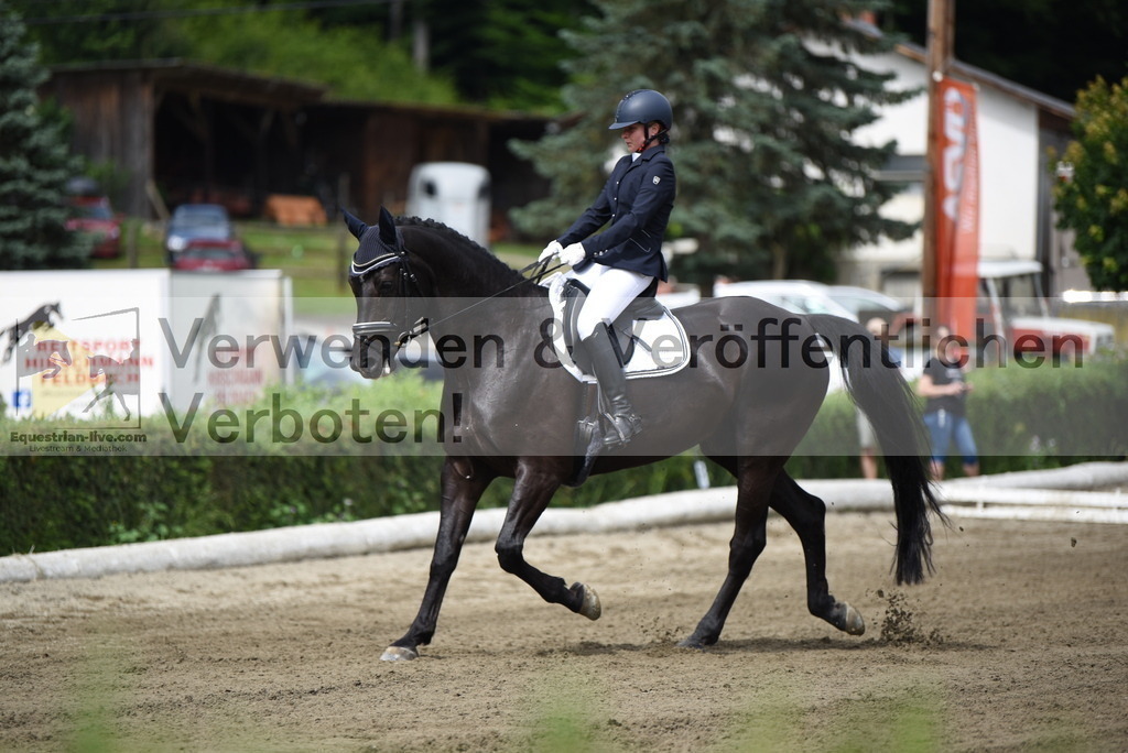DSC_3979 | equestrian-live-com