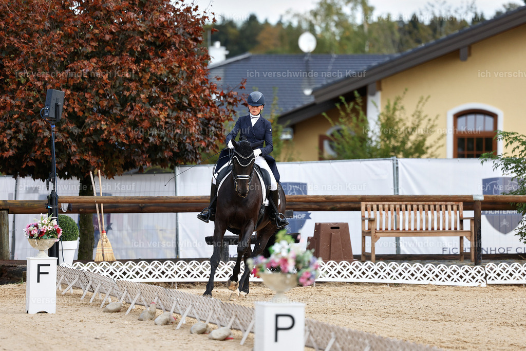 10-115-ST.GEORG SPECIAL -StoibPH-3180 | working equitationturnier fotograf videograf stoibphotography marixx film working equitation deutschland reitsport turnierfotografie eventfotografie equestrian events