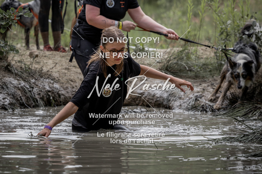 nelerasche_so1300-1330_385 | nelerasche