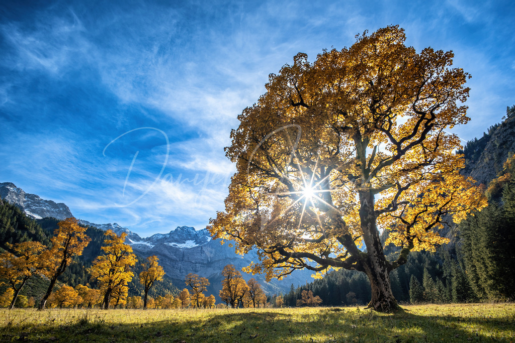 Ahornboden | Herbst am wunderschönen Ahornboden in der Eng