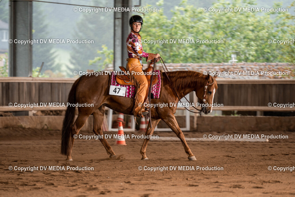 Erbach Tag 1-721 | dv-media-shop - Realisiert mit Pictrs.com